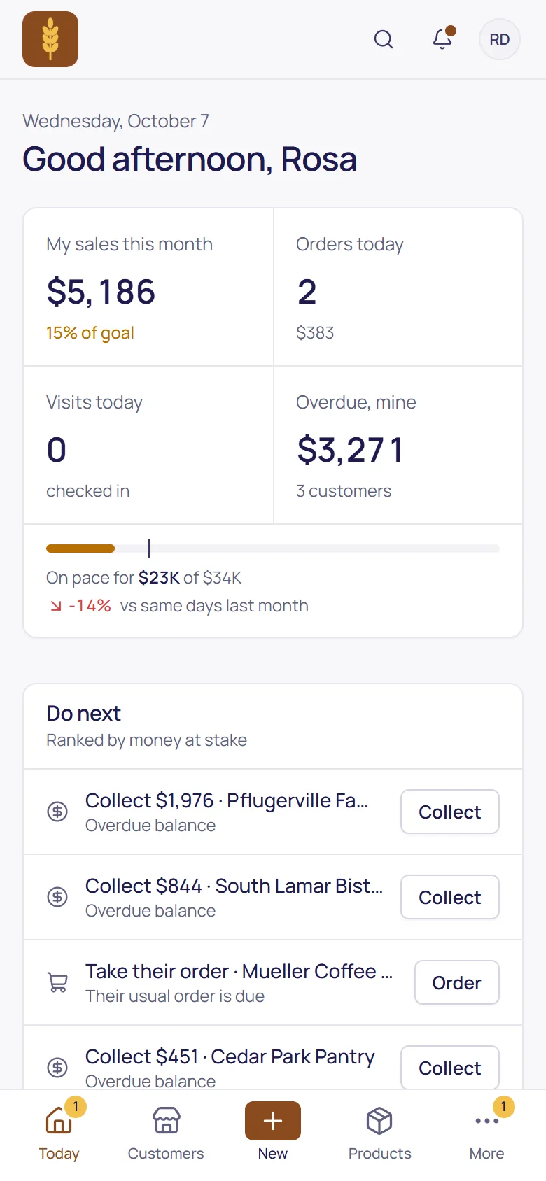 The rep's Today: sales this month, orders, visits and what to do next